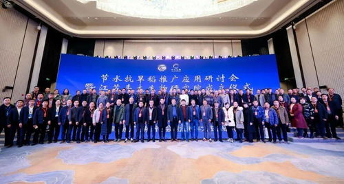 让水稻像小麦一样种 节水抗旱稻的推广与应用前景